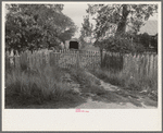 Driveway, Paulina, Louisiana