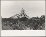 Church in the orange growing section, Boothville, Louisiana