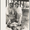 Dumping oysters into sacks from wire baskets, Olga, Louisiana