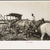 Part of machine developed by Negro for loading sugarcane onto trucks near New Iberia, Louisiana