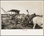 Part of machine developed by Negro for loading sugarcane onto trucks near New Iberia, Louisiana