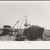 Loading sugarcane, Louisiana
