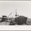 Loading sugarcane, Louisiana