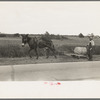 Mule-drawn wagon with water supply near Jeanerette, Louisiana