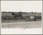 Mule-drawn wagon with water supply near Jeanerette, Louisiana