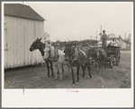 Mules and wagon, Port Barre, Louisiana