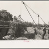 Sugarcane being unloaded onto trailer truck by means of a machine developed by Negro worker near New Iberia, Louisiana