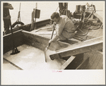 Loading shaved ice into shrimp boat, Morgan City, Louisiana