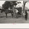 Loading groceries into buggy, Lafayette, Louisiana