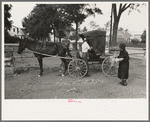 Loading groceries into buggy, Lafayette, Louisiana