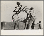 Manipulating scissors crane used for loading sugarcane in field near New Iberia, Louisiana