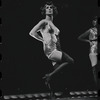 Cabaret, first photo call