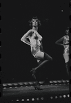 Cabaret, first photo call