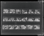 Unnumbered medium-format images