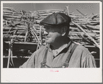 Sugarcane farmer, Delcambre, Louisiana