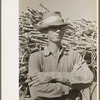 Sugarcane farmer, Delcambre, Louisiana