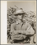 Sugarcane farmer, Delcambre, Louisiana