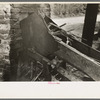 After juice is crushed from sugarcane, the pulp is fed to furnace by conveyor, near New Iberia, Louisiana