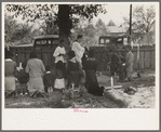 Negro family praying at graves of their relatives on All Saints' Day, New Roads, Louisiana