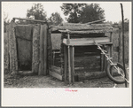 Chicken house and privy of farmer near Morganza, Louisiana. Will receive assistance from the FSA (Farm Security Administration)