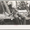 Negro boy sitting on sugarcane truck, Morganza, Louisiana