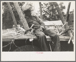 Negro boy sitting on sugarcane truck, Morganza, Louisiana