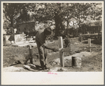 Painting grave marker in cemetery, All Saints' Day in New Roads, Louisiana