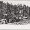 Mechanical sugarcane harvester developed by Allen Ramsey Wurtele, Mix, Louisiana. Mr. Wurtel spent several years with this development, and the machine is semi-successful. It is recognized that with developments and improvements pending, this machine will
