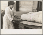 Wife of small cane farmer near Jarreau, Louisiana, making mattress of moss