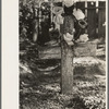 Decorated headstone in cemetery, New Roads, Louisiana on All Saints' Day. Artificial flowers are made of paper