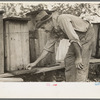 William E. Smith, farmer near Morganza, Louisiana, inspecting his beehives. He will receive FSA (Farm Security Administration) aid