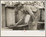 William E. Smith, farmer near Morganza, Louisiana, inspecting his beehives. He will receive FSA (Farm Security Administration) aid