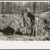 Surveyor, Chicot Farms, Arkansas