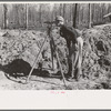 Surveyor, Chicot Farms, Arkansas