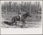 Home supervisor of Chicot Farms project must ride horseback to get to and from project. Arkansas