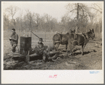 Farmers of Chicot Farms Project, Arkansas with mud sled which is used for transporting supplies