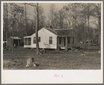 Farm home, Chicot Farms, Arkansas