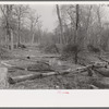 Land in process of clearing, Chicot Farms, Arkansas