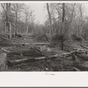 Land in process of clearing, Chicot Farms, Arkansas