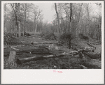 Land in process of clearing, Chicot Farms, Arkansas