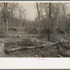 Land in process of clearing, Chicot Farms, Arkansas