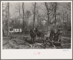 Mud sled arriving at home on project, Chicot Farms, Arkansas