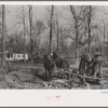 Mud sled arriving at home on project, Chicot Farms, Arkansas