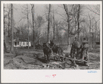 Mud sled arriving at home on project, Chicot Farms, Arkansas
