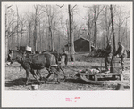 Mud sled arriving at project, Chicot Farms, Arkansas