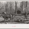 Mud sled arriving at project, Chicot Farms, Arkansas