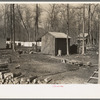 Backyard of farmstead, Chicot Farms, Arkansas