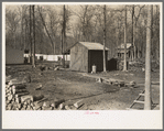 Backyard of farmstead, Chicot Farms, Arkansas