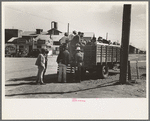 Mexican day laborers being loaded into truck for transportation to field, Weslaco, Texas