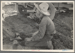 Young Mexican boy, carrot worker, eating "second breakfast" in field near Santa Maria, Texas. The lunches of the Mexican workers usually consist of tortillas and fried onions and cold coffee